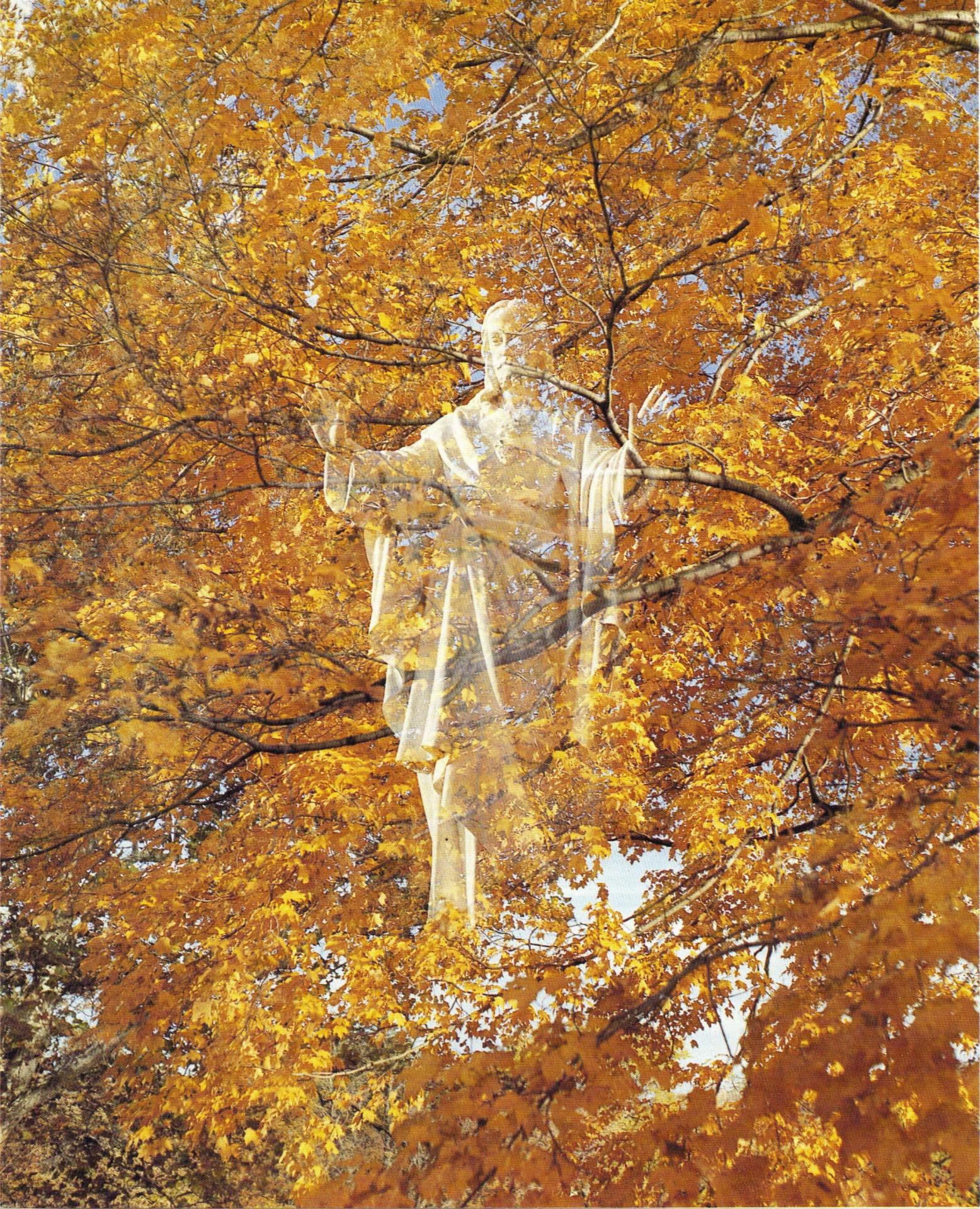 11 09 2009 14 18 13
