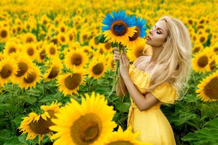 186792995 une fille ukrainienne tient un tournesol bleu et jaune symbolisant le drapeau de l ukraine sur le